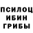 Псилоцибиновые грибы Psilocybe Le Gansua