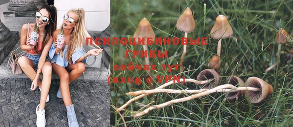 Альфа ПВП Заволжск