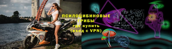 мдма Заводоуковск